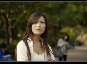 黄秋照片,捕捉光影之美