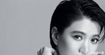 广东出了哪些明星,南粤之地孕育的璀璨星河